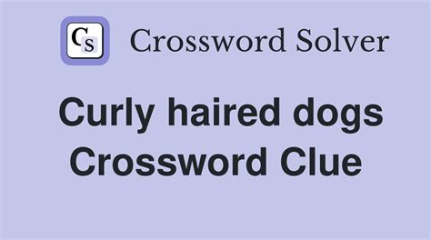 curly haired dogs crossword